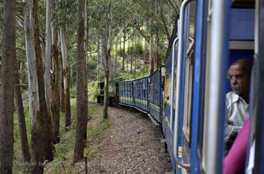 Nilgiri-Blue-Mountain-Train,  Coonoor - Ooty_DSC5503_H600